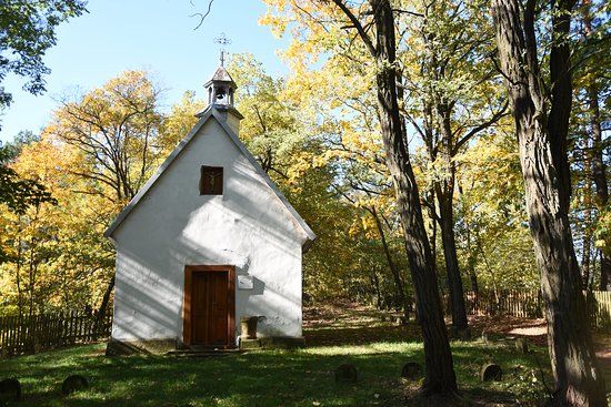 Rezerwat przyrody Kręgi Kamienne